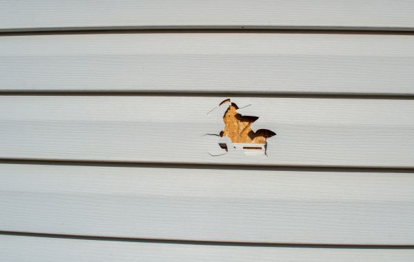 Cost of Siding Hole Patching in Fallbrook